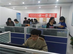 河北唐山舉辦12333全國統一咨詢日活動，聚焦信息技術咨詢服務