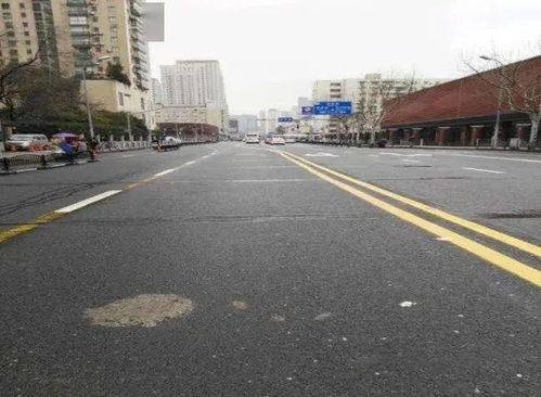 徐匯這5條上海市精品示范路，有在你家附近的嗎？